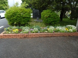 DSC03139