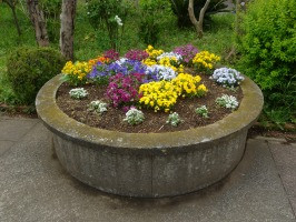 DSC03143