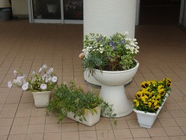DSC03154
