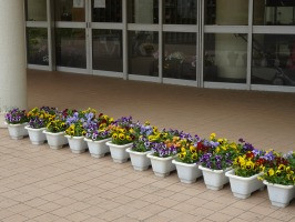 DSC03151