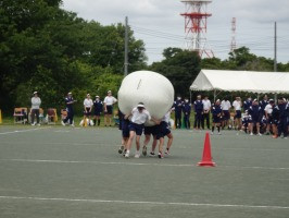 DSC04611