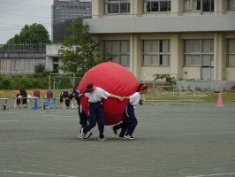 DSC04619