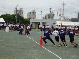 DSC04636