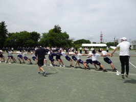 DSC04662