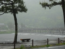 DSC04235