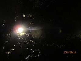 IMG_4143