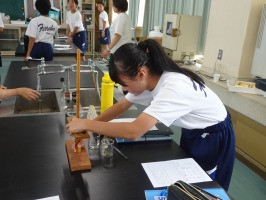 新DSC00272