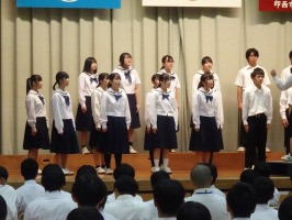 3B DSC01105