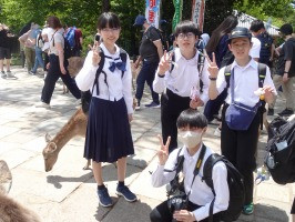 鹿DSC08090