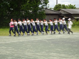 ピンク②DSC09552