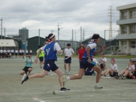 DSC00245