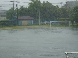 DSC00431