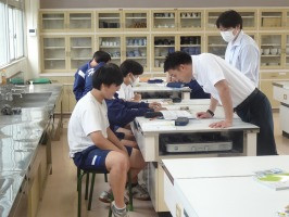社DSC00495