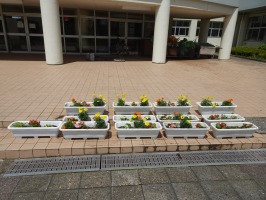 花DSC00904